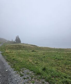 Fotografija s spletne strani Rico Nef na poti