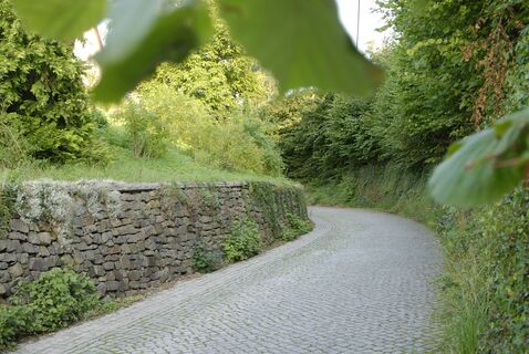 Weg  in Constappel