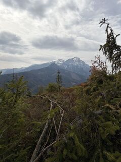 Fotografia z Mandy Friedrich na trase