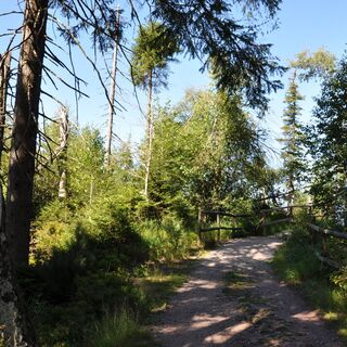 Zemljevid