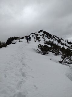 Fotografia z Steffen Weibrecht na trase