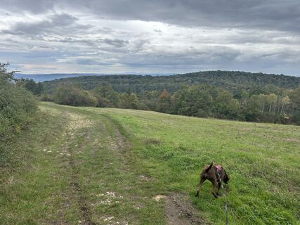 Photo de Car Wanderfreude le long du parcours