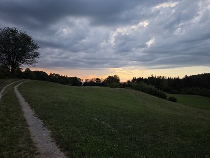 Zdjęcie z Raimund Bürgmann wzdłuż trasy