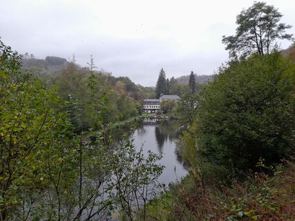 Photo de Fiet haenen le long du parcours
