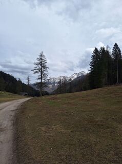Foto von Dagmar Hofer entlang der Tour