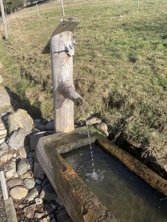 Fotografia z Günter Goldschmidt na trase