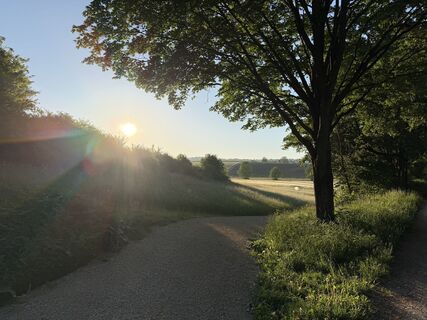 Fotografia z Schaali na trase