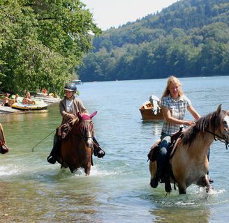 Auch Pferde haben das Bedürfnis sich abzukühlen