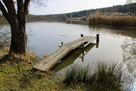 Steg am See