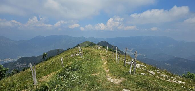 Kuva osoitteesta Nico matkan varrella