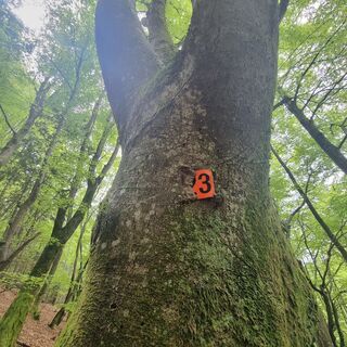 Foto von veronic26 entlang der Tour