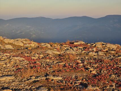 Fotografia z TwilightTea na trase