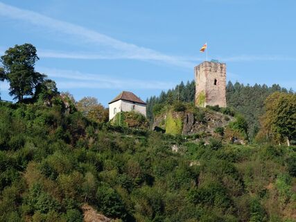 Blick auf den Hornberger Schlossberg