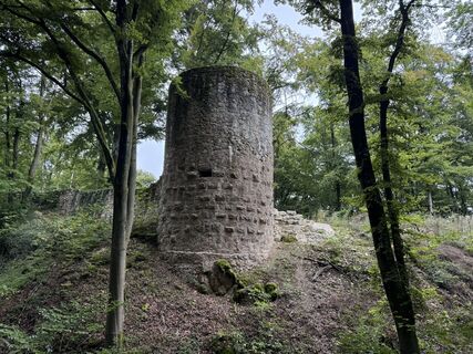 Foto von Norbert Herbig entlang der Tour