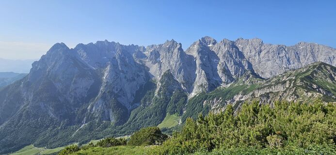 Foto da garrincha lungo il tour