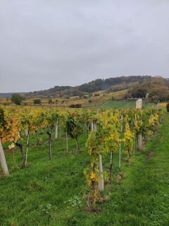 Foto von Andreas Mund entlang der Tour