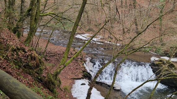 Foto de Franz Russ a lo largo del recorrido