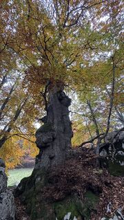 Photo de ROBERTO BONIOTTI le long du parcours
