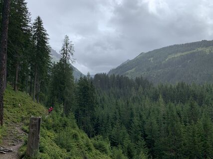 Photo de Koen De Wit le long du parcours