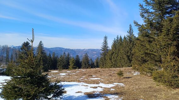 Foto från Lydia Pritzova under resans gång