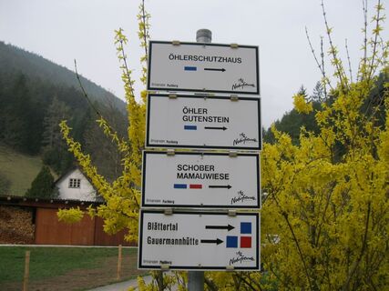 Puchberg - Edelweißhütte