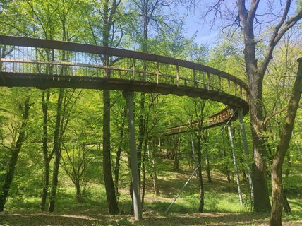 Foto de Làszló Visi a lo largo del recorrido