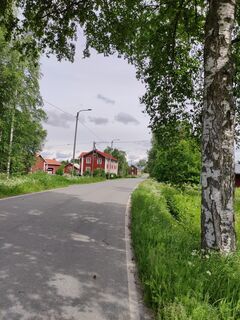 Zemljevid