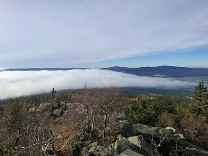 Fotografija s spletne strani Wollomator na poti