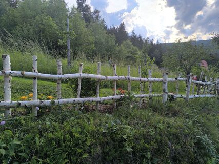 Fotografija s spletne strani Ildikó na poti