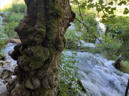 Fotografie z Klaus Grambichler na trase