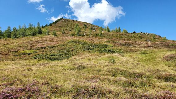 Foto von Gerrit van der Linde entlang der Tour