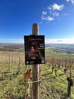 Photo de Anja Kaiser 1 le long du parcours