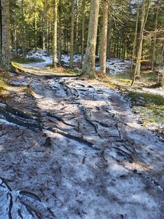 Zdjęcie z v.stein wzdłuż trasy