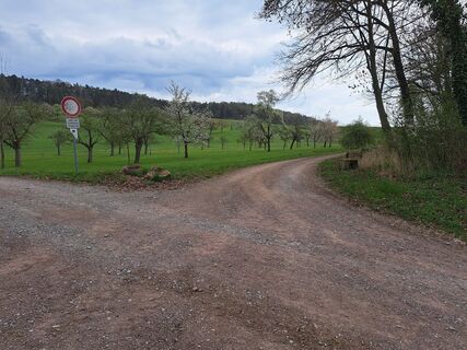 Foto von Christian Haßmann entlang der Tour