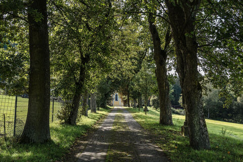 Weg zum Mausberg, Gebenbach