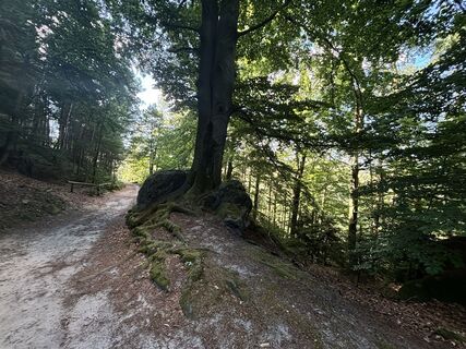 Foto von Erik Schwarz entlang der Tour