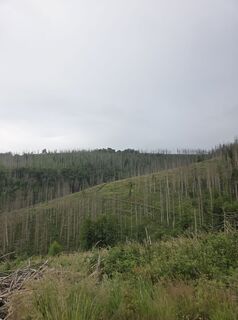 Foto von Lu. na entlang der Tour