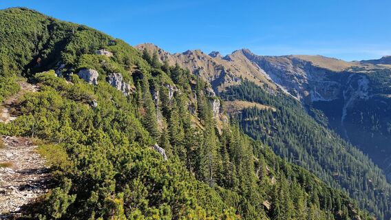 Blick vom Gipfel des Lausberg hinüber zum weiteren Wegverlauf