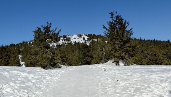 Zdjęcie z István Gábor 1 wzdłuż trasy