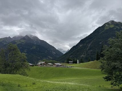 Foto von Grizzli entlang der Tour
