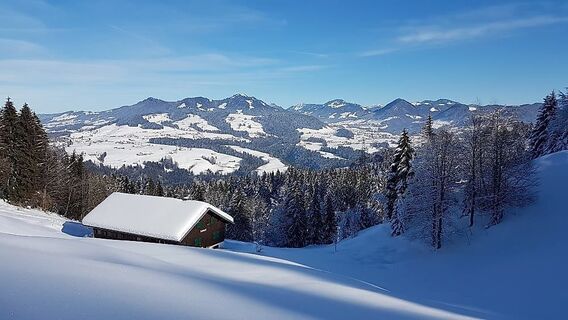 Wunderbare Aussicht in den Vorderwald