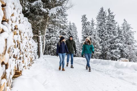 Winterwandern in Breitnau