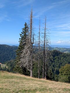 Foto von WolBo entlang der Tour
