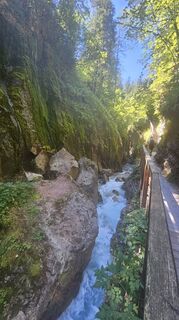 Foto de Boba Weishaar a lo largo del recorrido