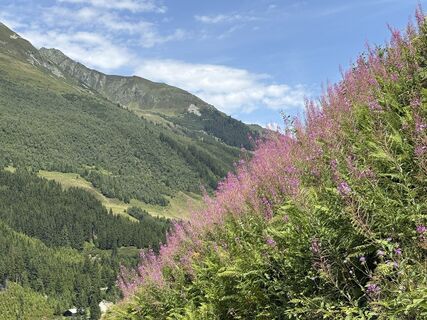 Photo de Winfried Ellinger le long du parcours