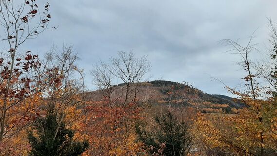 Foto de Wiebke a lo largo del recorrido