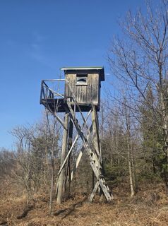 Fotografija s spletne strani Darija Forgač na poti