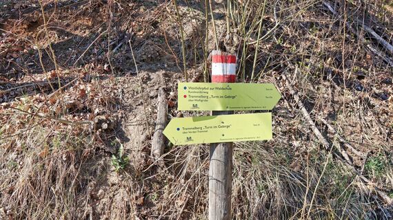 Bald am Beginn führen die Wege auseinander