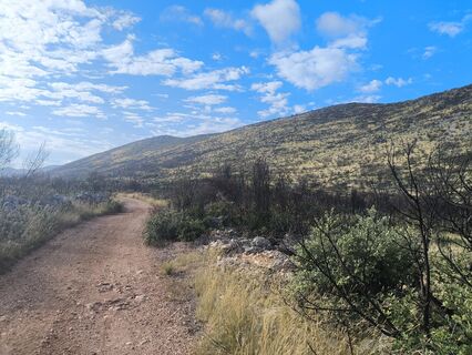 Fotografia z WilliSt na trase