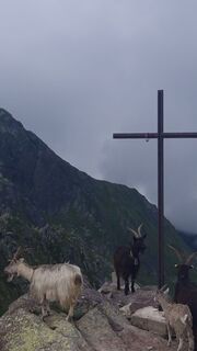 Zdjęcie z Daniel (Rustico) wzdłuż trasy